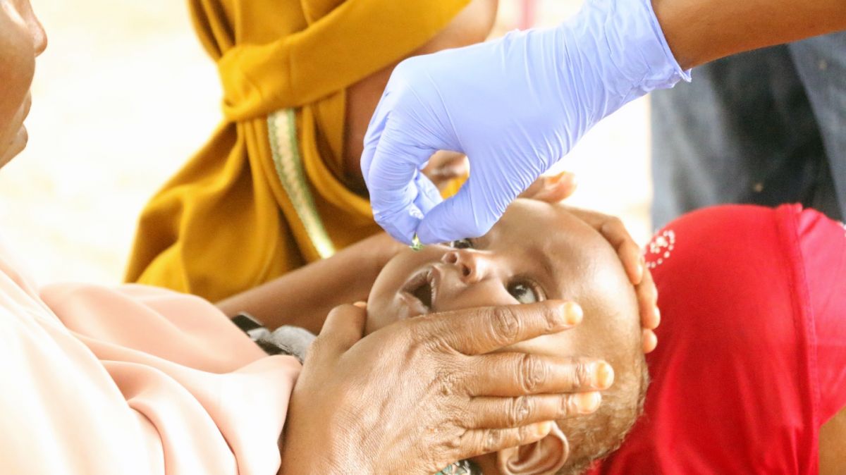 dhobley_vaccines_.1.jpg dhobley_vaccines_.1.jpg