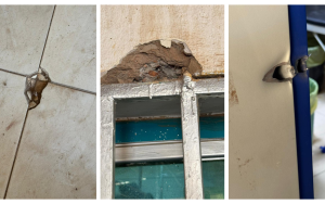 Bullet marks in Bashair hospital 