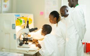  MSF team at work at microbiology laboratory