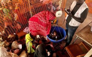  Outpatient nutritional activities in Adré