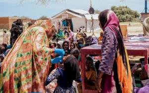 MSF is involved in the fight against cholera in Adré, Aboutenge, Metché, Irdimi, Tulum, Tiné, Hadjer Hadid, Allacha, Goz Beida and Abdi through vaccination, cold chain management, active case finding, health promotion, soap distribution, water supply and water network rehabilitation, and the establishment of several cholera treatment units and centres.