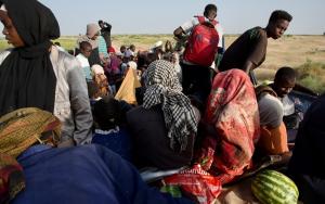 Arrival of displaced civilians from besieged El-Fasher at the checkpoint at the entrance of Tawila