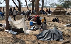 Families shelter under trees in Nyatim