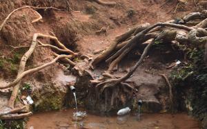 Water point identified for rehabilitation in the Djoungolo Health District to ensure access to safe drinking water.