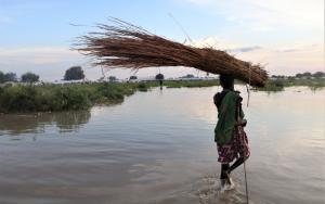 A woman carries tree branches to construct a new house in Pibor town