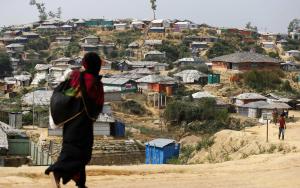 A woman carrying food for her family, Cox Bazar, Bangladesh [© Vincenzo Livieri]