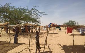 Refugee population in Andeamboukane, Mali 