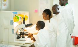  MSF team at work at microbiology laboratory