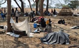 Families shelter under trees in Nyatim