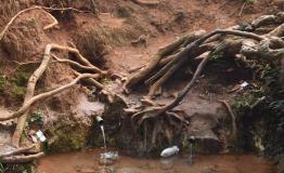 Water point identified for rehabilitation in the Djoungolo Health District to ensure access to safe drinking water.