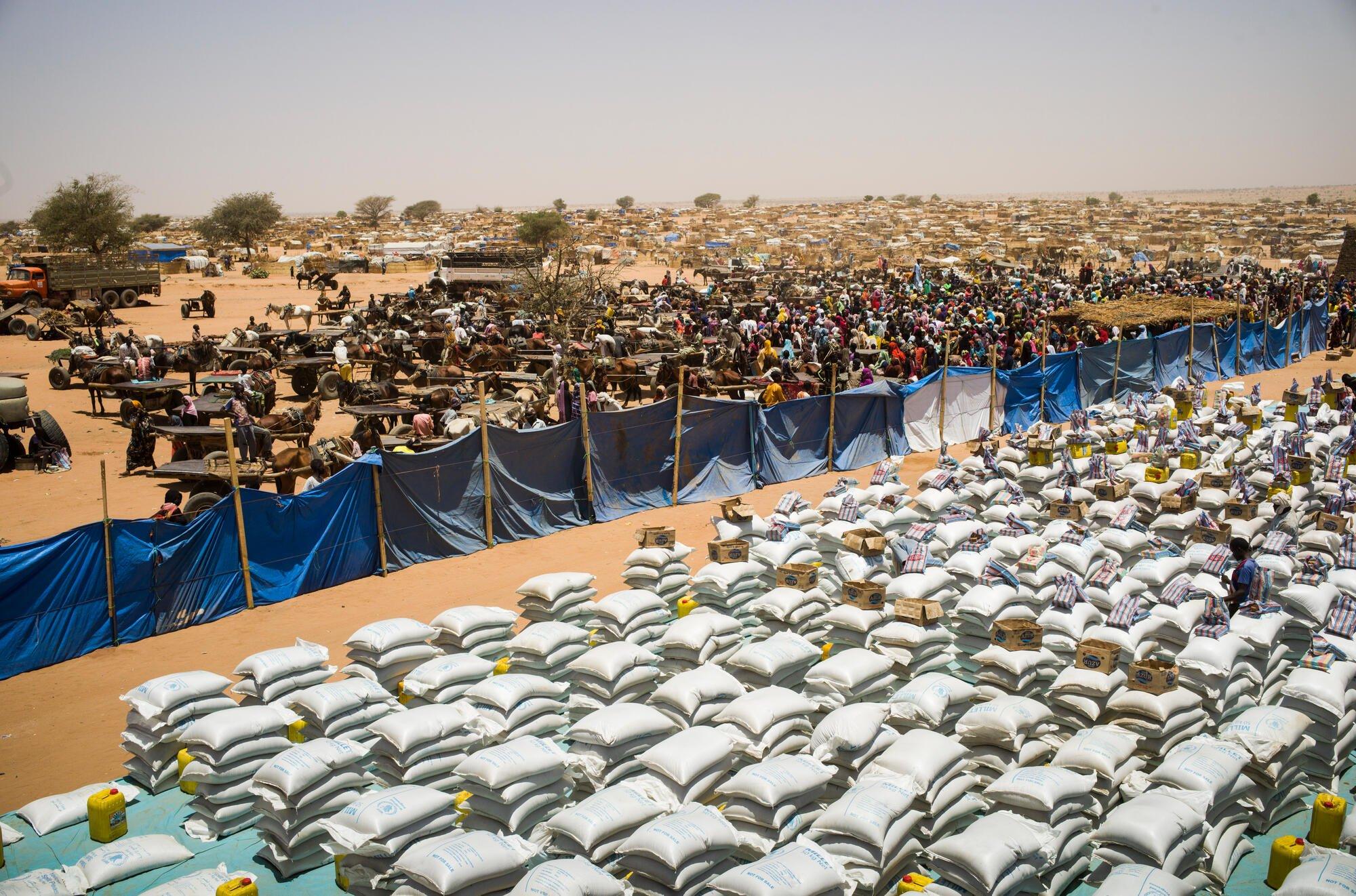 A food distribution (bags of millet, oil, soap, etc.) being organised by the World Food Programme at the Adre transit camp