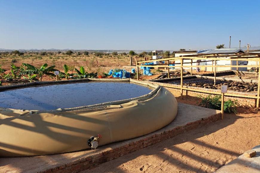 Poop Factory, Aboutengue Camp, eastern Chad