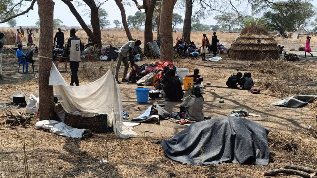 Families shelter under trees in Nyatim