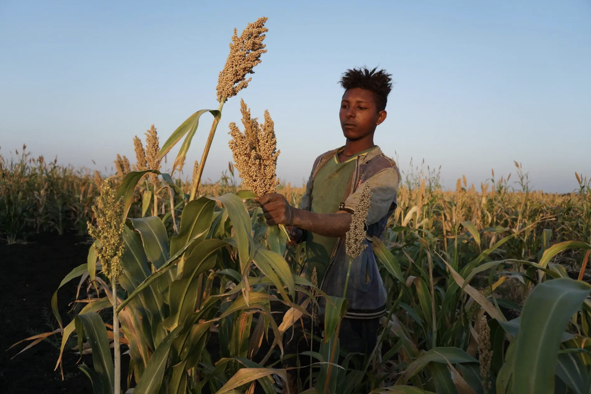 አለም አቀፍ የእባብ ንክሻ ግንዛቤ ቀን፡ በኢትዮጵያ የእባብ ንክሻንየተሻሻለ የህክምና መተግበሪያ እቅድ ስለማውጣት