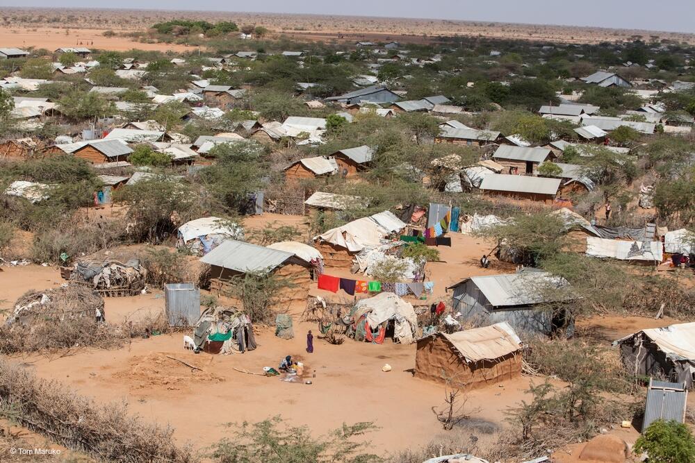 Dadaab camp 