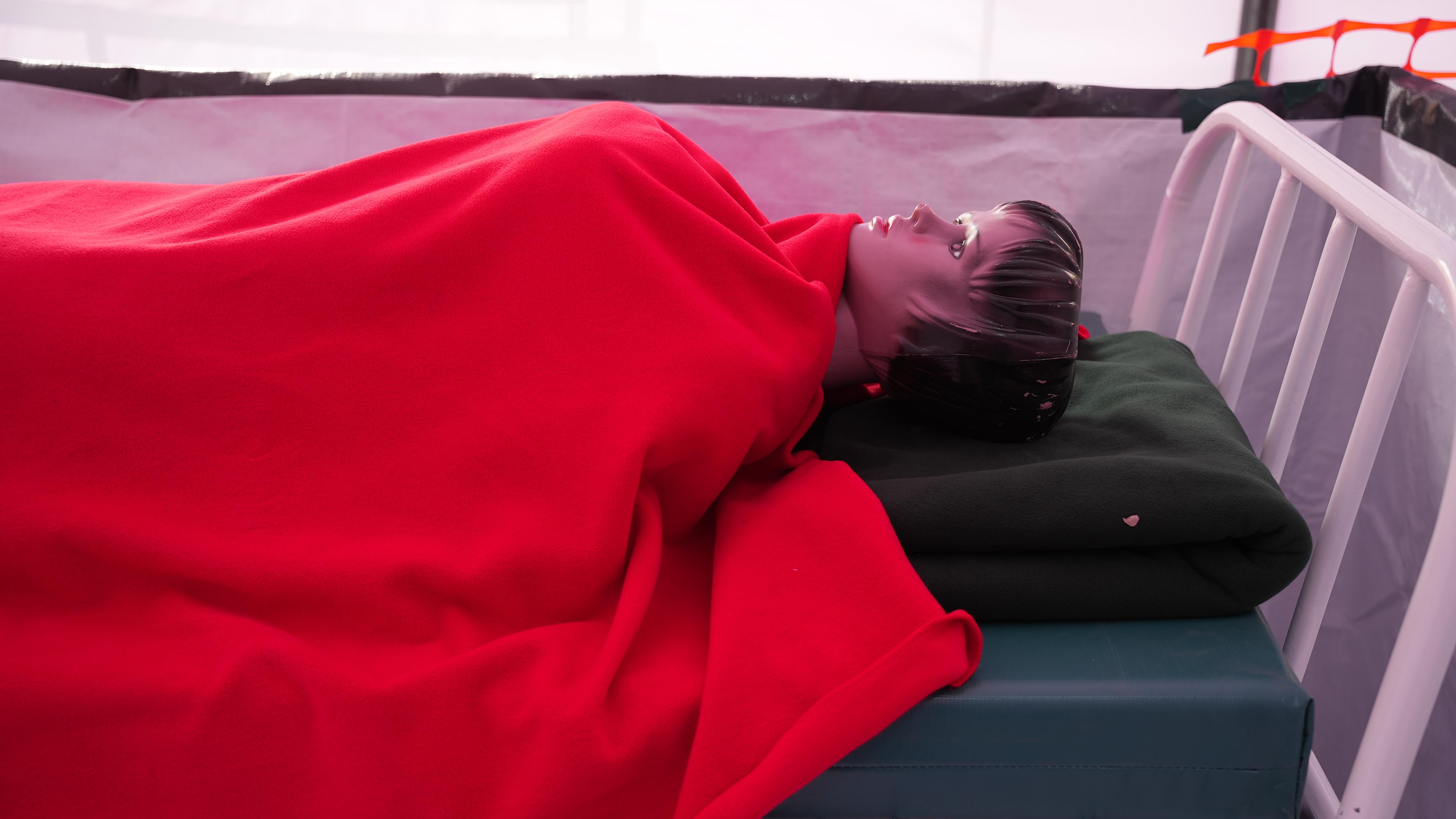 A suspected patient simulation
