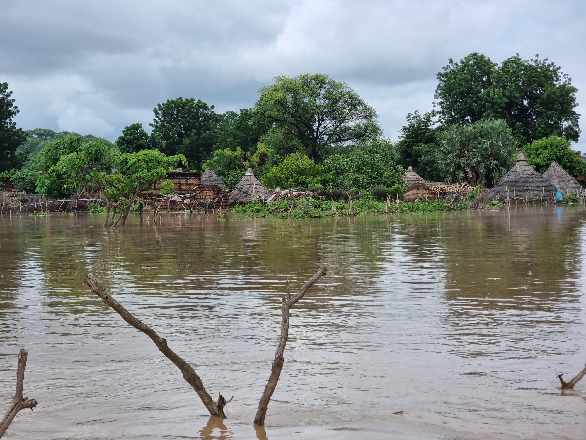 Massive flooding in eastern Chad