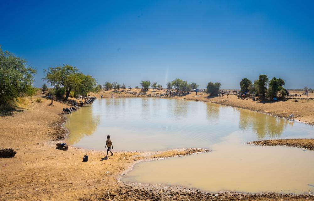 A stagnant pool of water is the only easily accessible water source in the Jerbana informal settlement