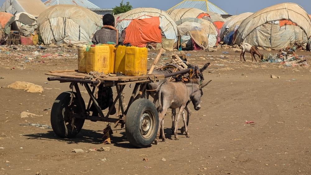 Drought Emergency In Somalia