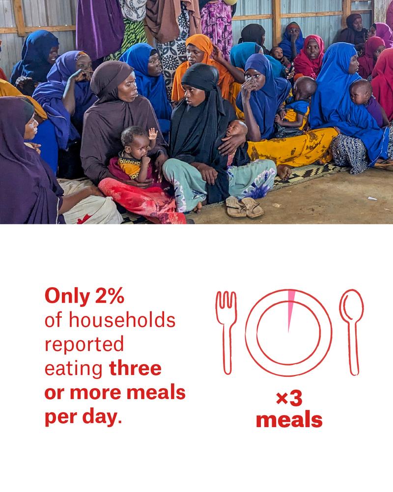 Families are surviving on too little food