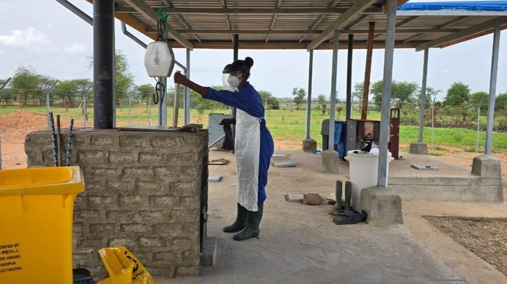 Mebrehit Tesfachael, an-MSF incentivized hospital worker, collects and sorts hospital waste before transporting it to the hospital's medical-waste management zone.